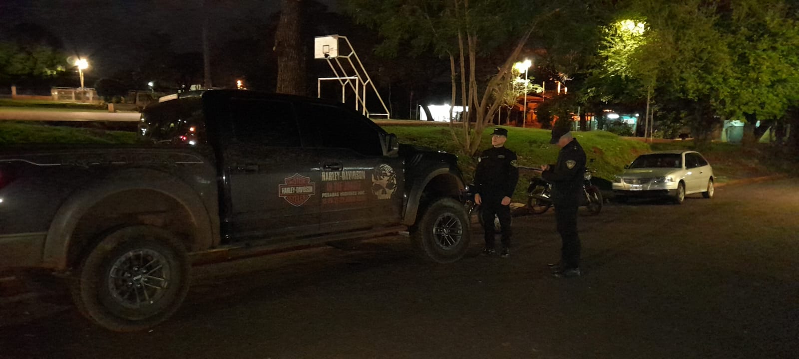Conductor de una camioneta atropelló y mató a una perra en Posadas - Imagen principal